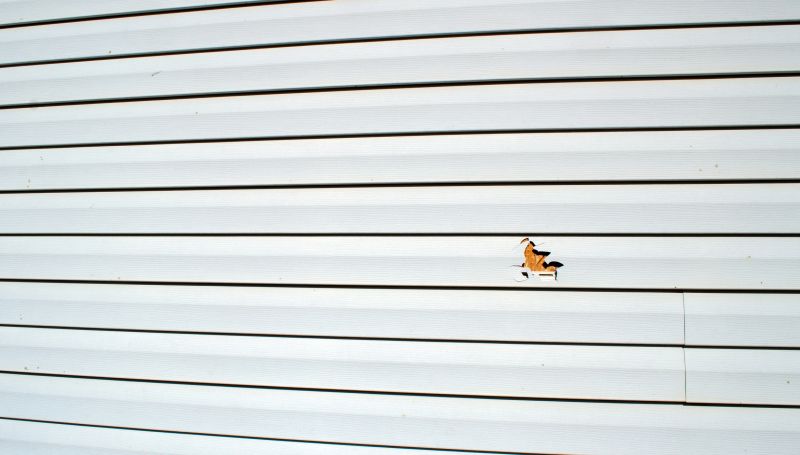 Vinyl Siding Repair Installation - Front View